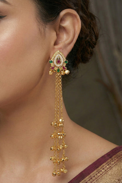 Kashmiri Long  Dangling earrings