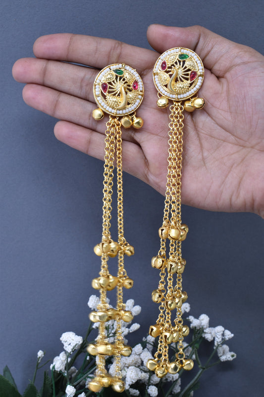 Kashmiri Long  Dangling earrings