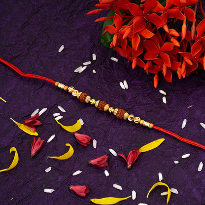 Rakshabandhan Rakhi Brother